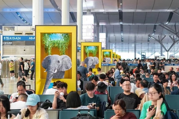 凯发国际首页：兆讯传媒2024年半年报发布：业务“双曲线”走势向好技术赋能价值提升(图2)