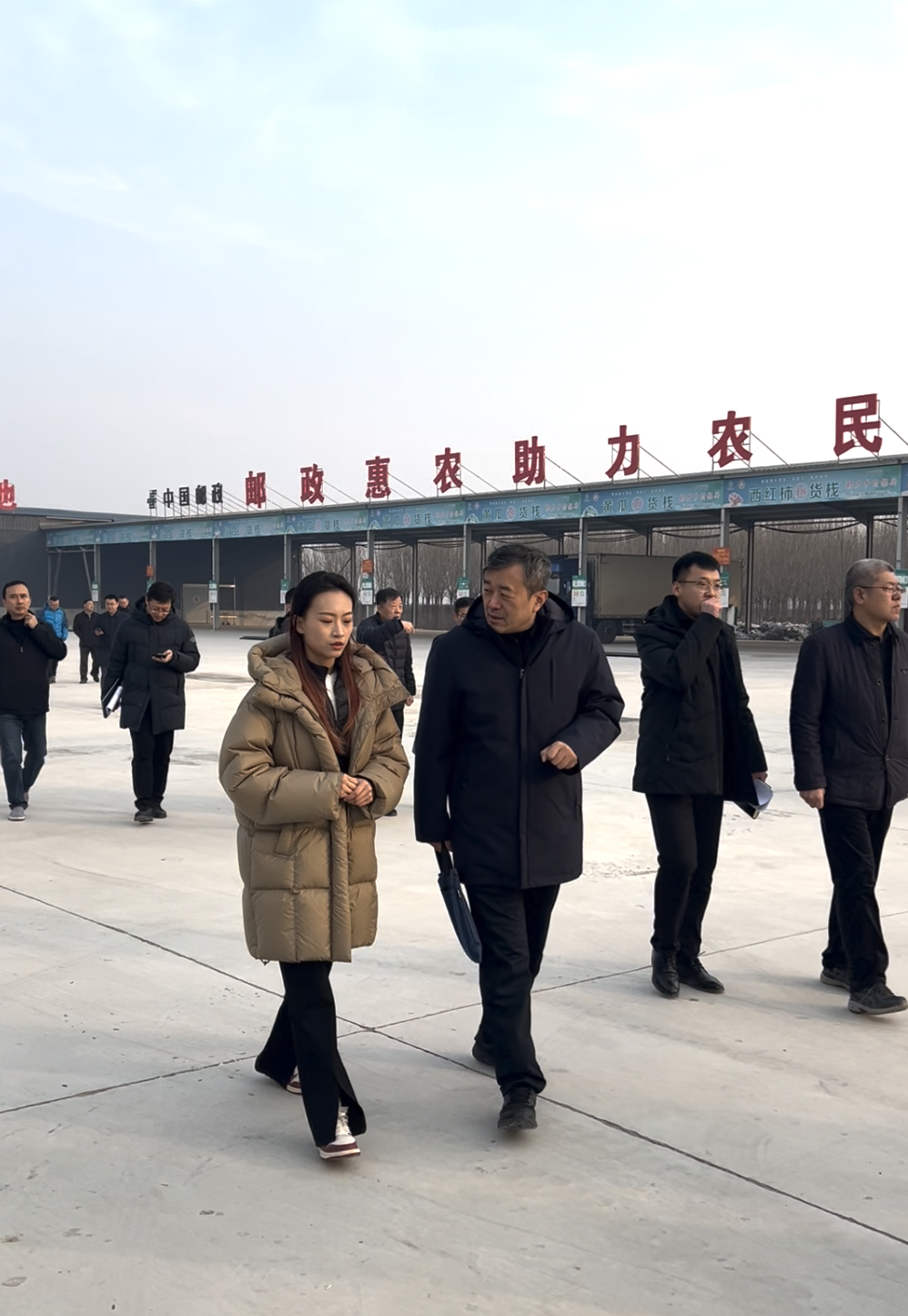 好网民在淄博杨晨：用科技赋能农业用数字助力乡村(图1)