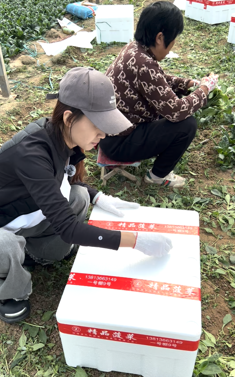 好网民在淄博杨晨：用科技赋能农业用数字助力乡村(图2)