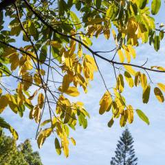 凯发国际首页：2024数字传媒专业学什么(图2)