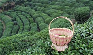 凯发国际首页：2024年新媒体行业市场深度分析(图2)