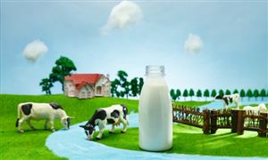 凯发国际首页：2024年新媒体行业市场深度分析(图3)