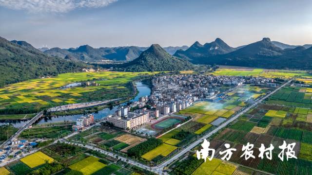 K8·凯发：从“五大百亿”到千亿新蓝图！广东清远的“媒体+”现代农业方法论(图2)