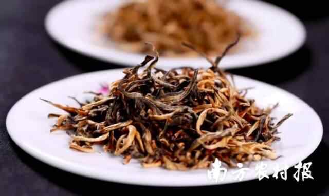 K8·凯发：从“五大百亿”到千亿新蓝图！广东清远的“媒体+”现代农业方法论(图5)