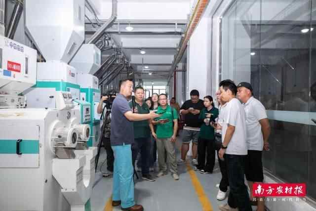 K8·凯发：从“五大百亿”到千亿新蓝图！广东清远的“媒体+”现代农业方法论(图8)