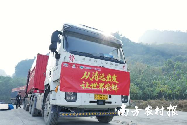 K8·凯发：从“五大百亿”到千亿新蓝图！广东清远的“媒体+”现代农业方法论(图11)