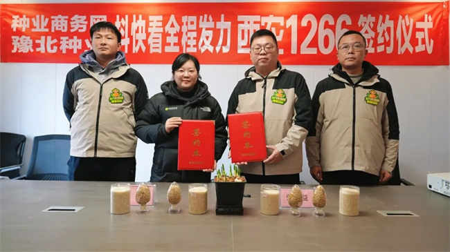 K8·凯发：“抖快看”×豫北种业“西农1266”新媒体推广签约成功举行