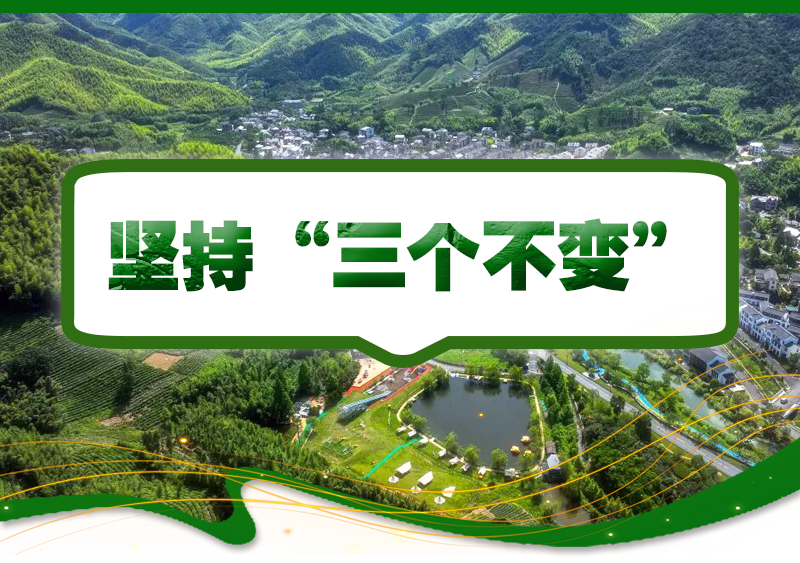 2026年浙江省委一号文件有哪些干货、利好？这场发布会为你划重点(图1)