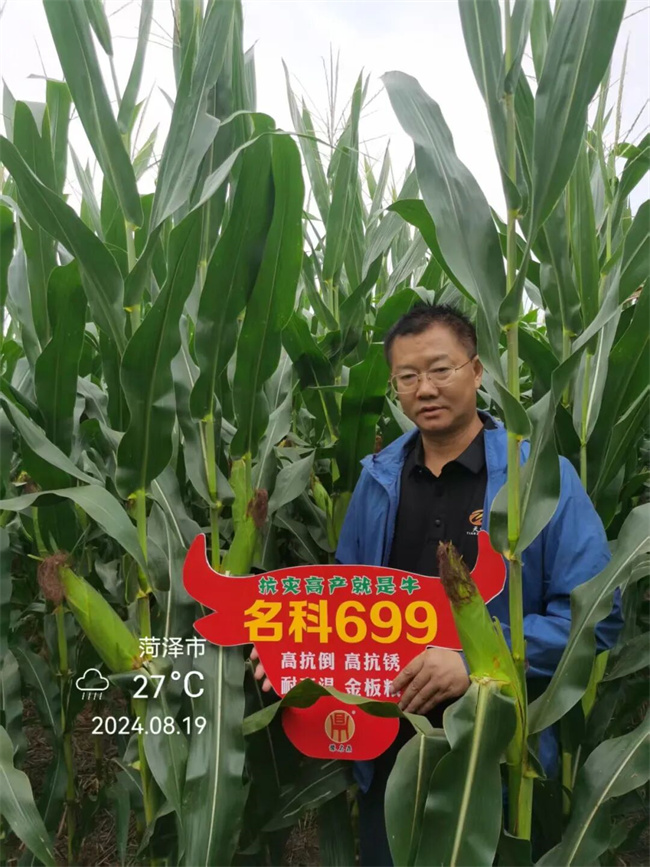 同心聚力共赢新程‖天中种业2026年名鼎26＆名科699营销战略峰会隆重举行(图7)