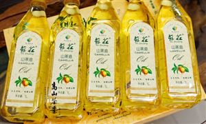 凯发国际首页：2024年中国数字营销行业的市场发展现状及发展前景分析(图3)