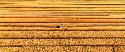 凯发国际首页：人机共创智绘新境——数智时代动画创作的“渲染”与“生成”(图5)